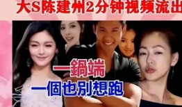 最近新瓜爆料娱乐圈,揭秘明星背后的秘密与真相